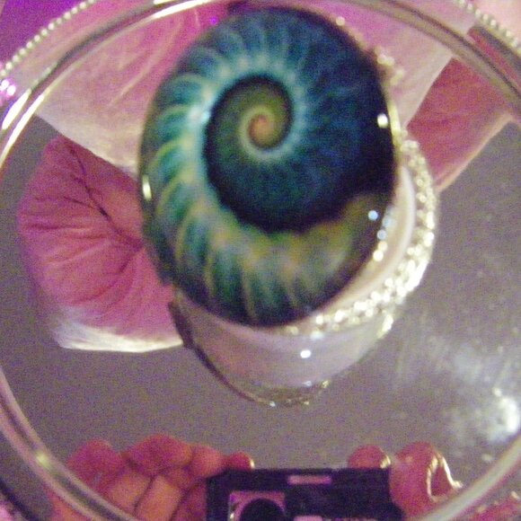 Hinged Trinket Box Catalina By The Sea White With Glass Top - Picture 2 of 6